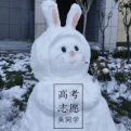 家宅识简社的头像