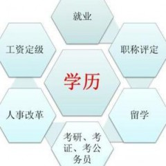 居家百事知的头像