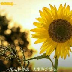 烟火知微馆的头像